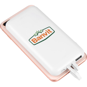 10.000 mAh Powerbank